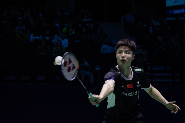 赛经验的象 赛经验的象